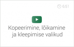 Exceli alg- ja kesktaseme koolituse e-kursuse alateema 'Kopeerimine, lõikamine ja kleepimine' video 'Kopeerimine, lõikamine ja kleepimise valikud'. Autor: Asko Uri, KehaMeeleKool / Kasulik Koolitus