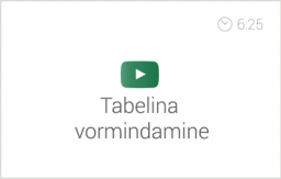 Exceli alg- ja kesktaseme koolituse e-kursuse alateema 'Lahtrite vormindamine' video 'Tabelina vormindamine'. Autor: Asko Uri, KehaMeeleKool / Kasulik Koolitus