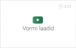 Exceli alg- ja kesktaseme koolituse e-kursuse alateema 'Lahtrite vormindamine' video 'Vormi laadid'. Autor: Asko Uri, KehaMeeleKool / Kasulik Koolitus